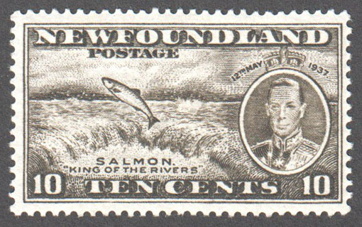 Newfoundland Scott 237b Mint VF (P13.3) - Click Image to Close